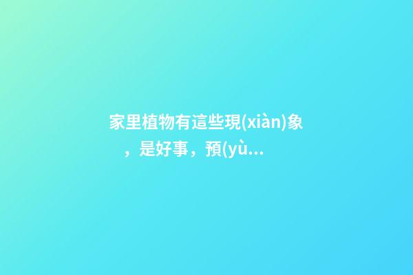 家里植物有這些現(xiàn)象，是好事，預(yù)示你家要發(fā)大財(cái)了！